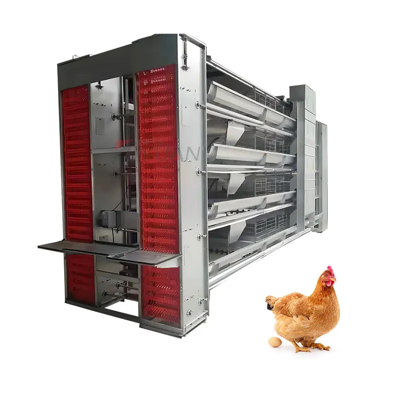 Automatic Poultry Feeding Layer Cages Poultry Farm Poultry Cages Feeding Systems