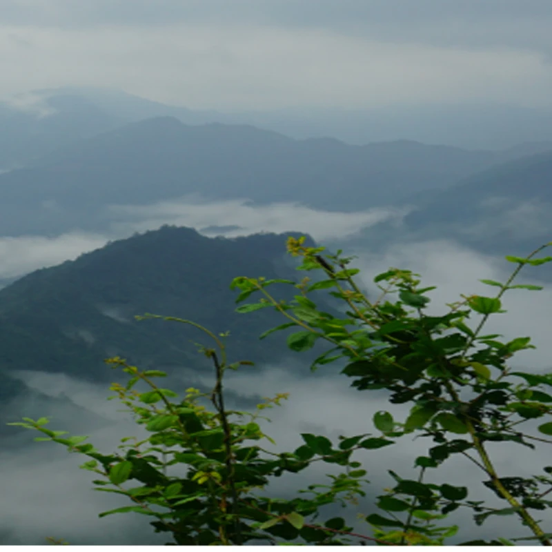 

JHEMCU GF30F405-ICM Baro OSD BalckBox 5V 10V Dual BEC F405 Flight Controller 3-8S 30X30mm for RC FPV Freestyle Drone Parts