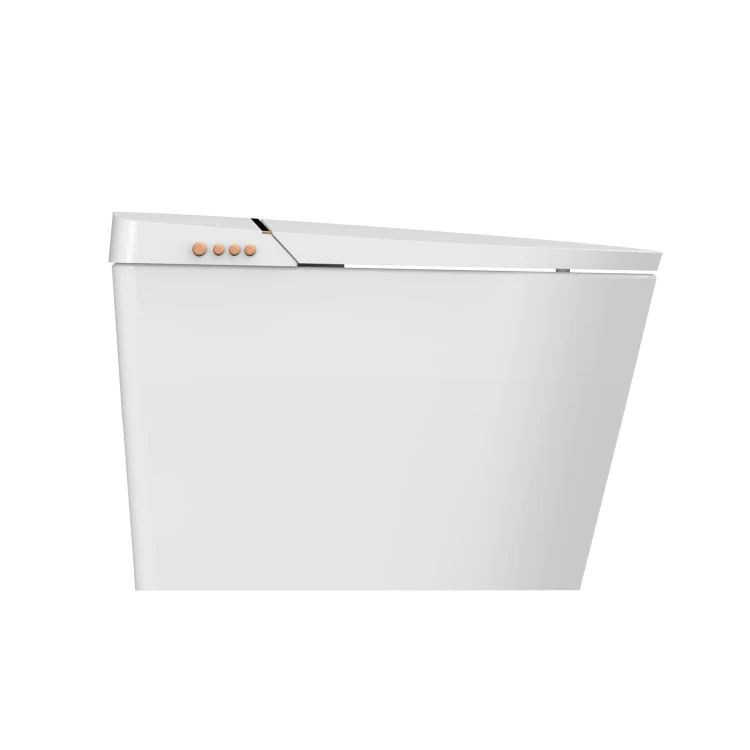 

Bathroom Modern Automatic Smart Bidet Floor Installation Siphon Flushing Ceramic Smart Toilet