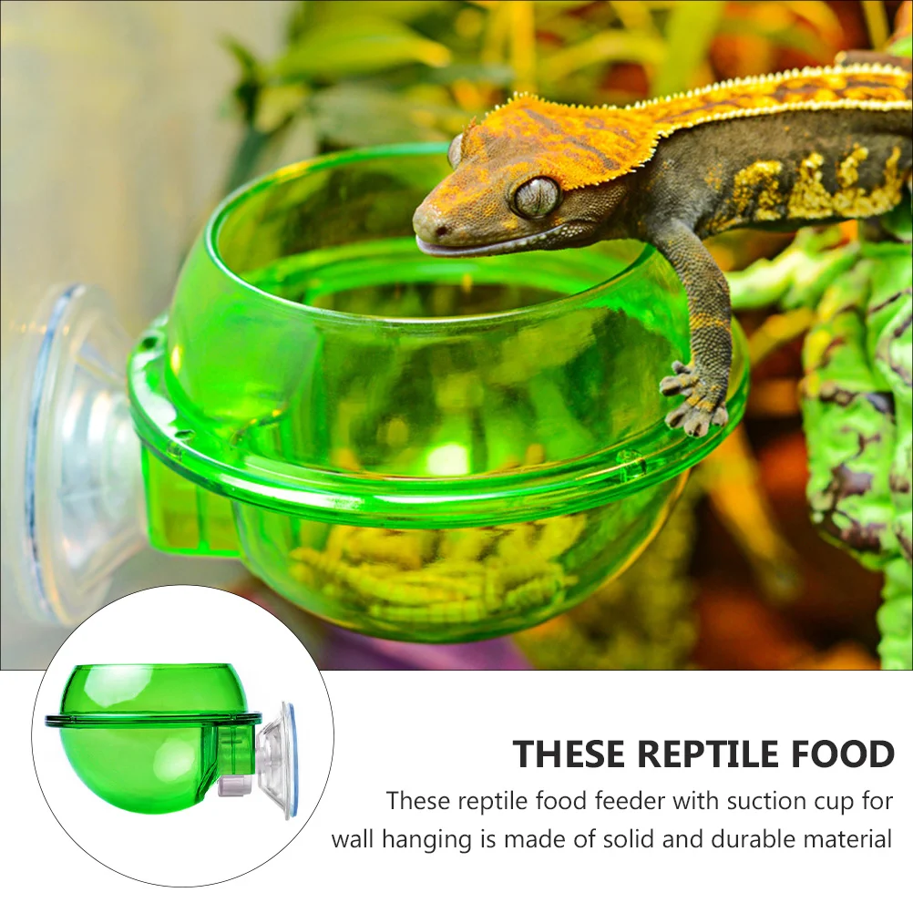 Chameleon Feeding Bowl Reptile Feeder Suction Cup Reptiles Feeder Water Bowls Anti-Escape Lizard Wall Hanging Feeder Bowl Lizard