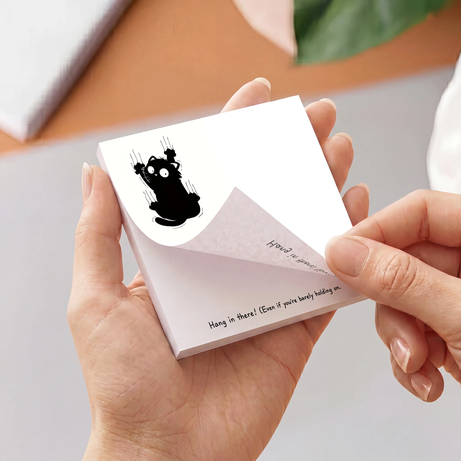 2pcs Cat Meme Sticky Notes Set - Hair Care Journal review and price