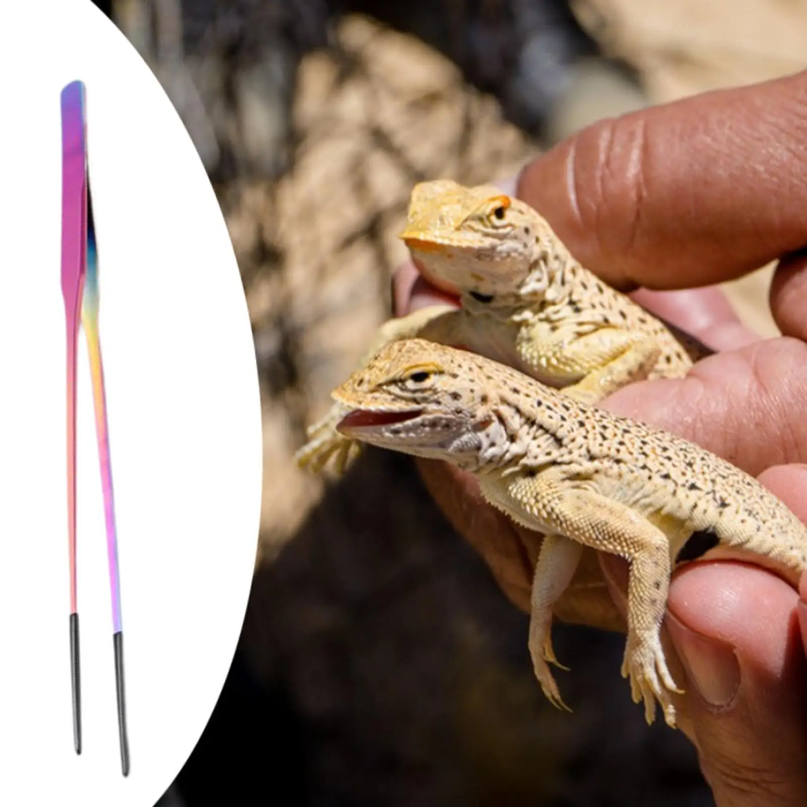 Pinzas silicona para iguanas y tortugas - Punta suave - imagen 3