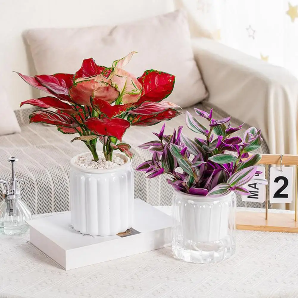 Watering Pot Indoor Self Watering Flower Pot Self Watering Planter Pot with Container Modern Decorative Plastic for Indoor