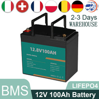 Lithium Battery 12v100ah LiFePO4 for RV SolarSystem Fish Finder Camping Built-in BMS  deep cycle Rechargeable lithium battery