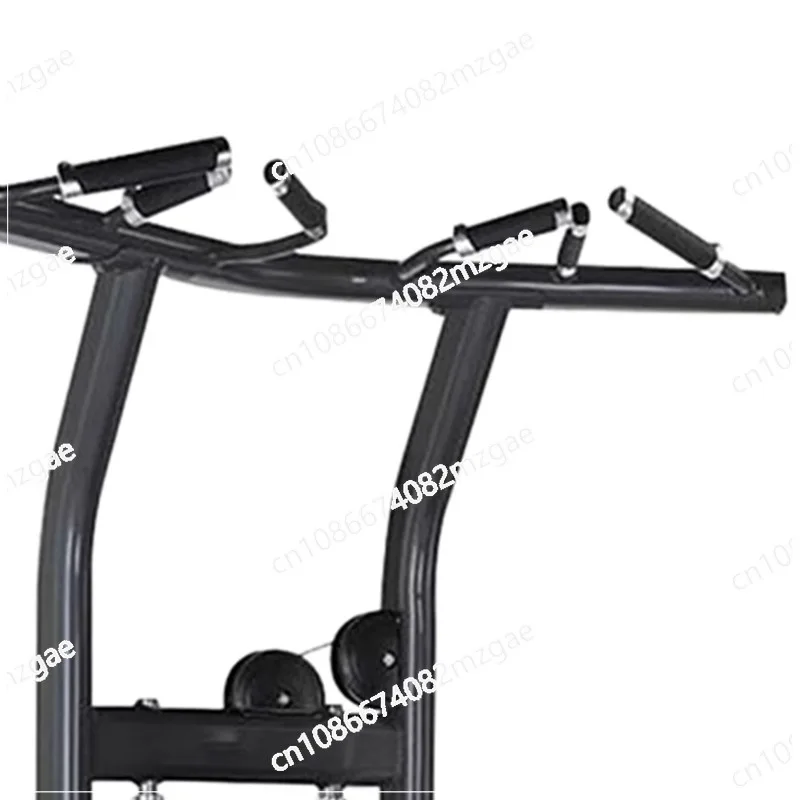 Commercial Assisted Pull Up Trainer
