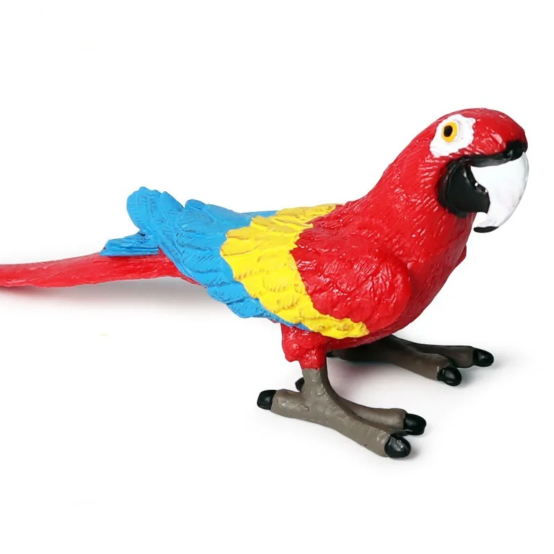 Solid Simulation Wild Animal Model Bird And Bird Set New Macaw Toy Decoration