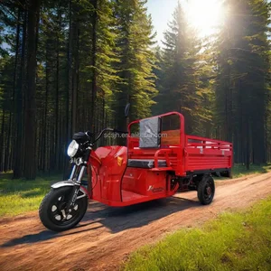 9 Haupttrikeverkäufe mit Motor - №10