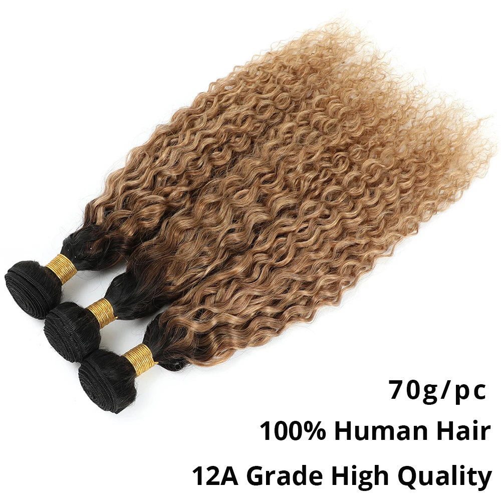 Water Wave Bundles with Closure, Honey Blonde Brazilian Human Hair, 1B/27 Curly