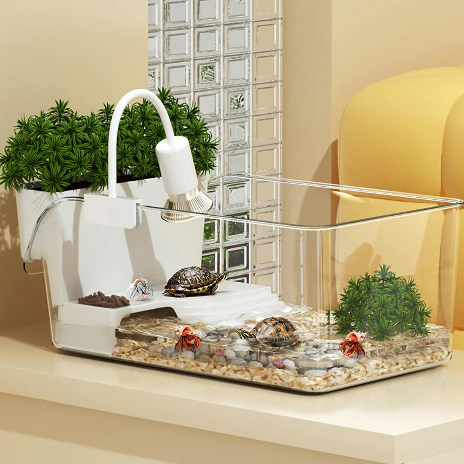 Transparenter Schildkröten-Terrarium, Schildkröten-Tank, dekorativer kleiner Krabben-Fütterungs-Lebensraum für Naturerziehungsgeräte, Schildkröten-Terrassen