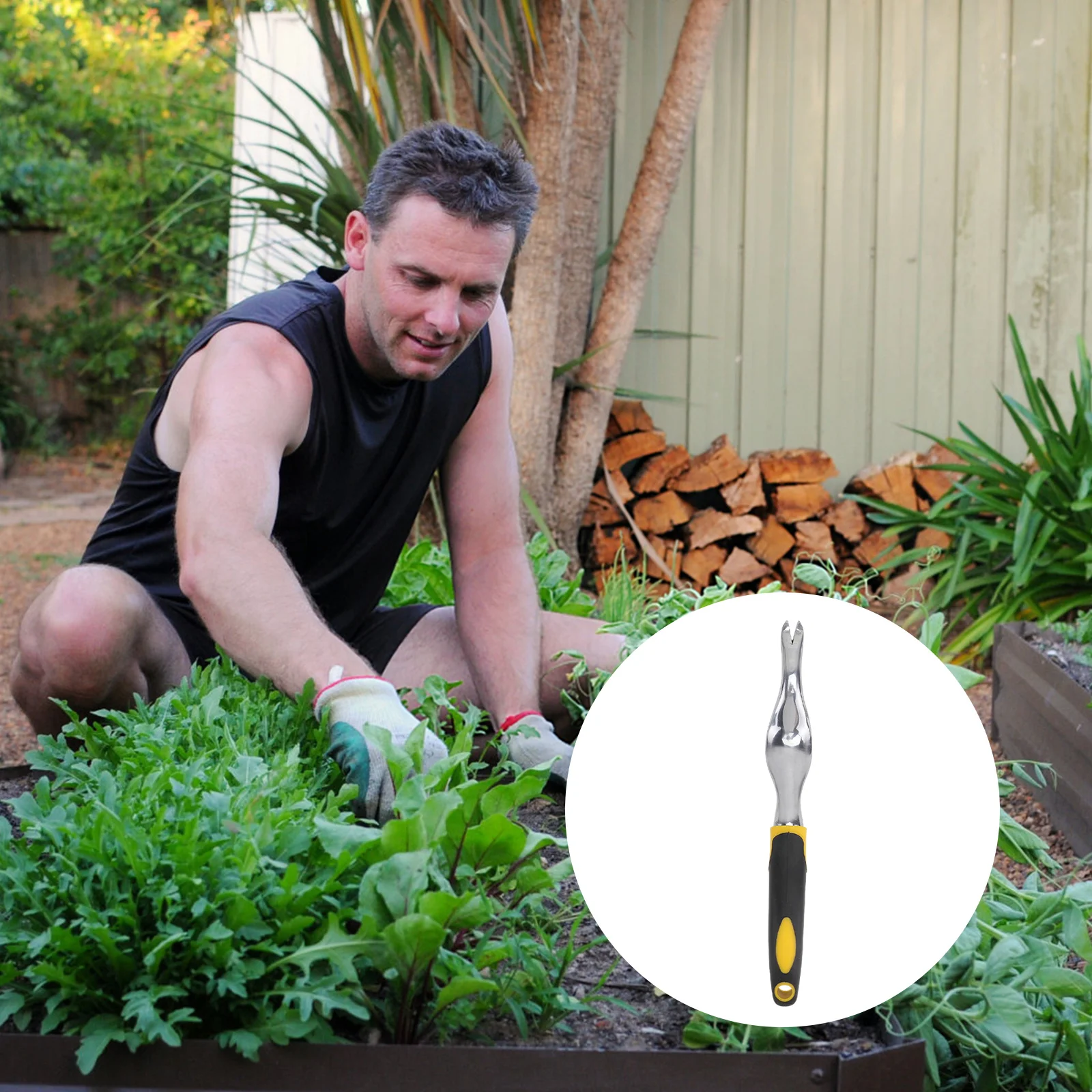 

Weeding Tool with 2 Prong Fork Heavy Duty Aluminum Construction Comfortable Grip for Senior Adults Efficient Lawn Grass