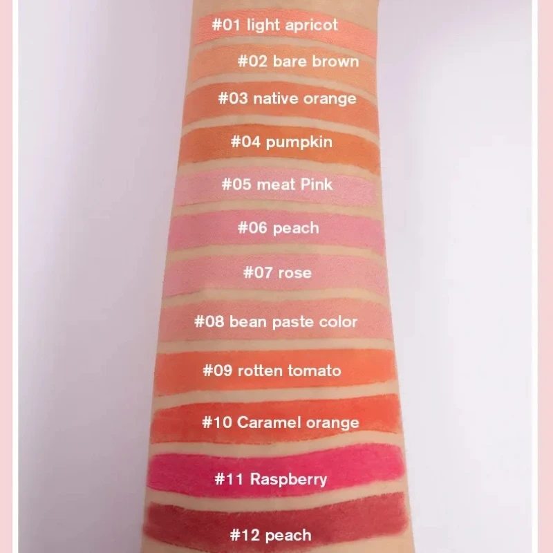 Pudaier Colorful Pigment Moisturizing 12 Color Lip Stick Lipgloss Set Makeup Non-Sticky Cup Velvet Matte Stay Lip Gloss Lipstick