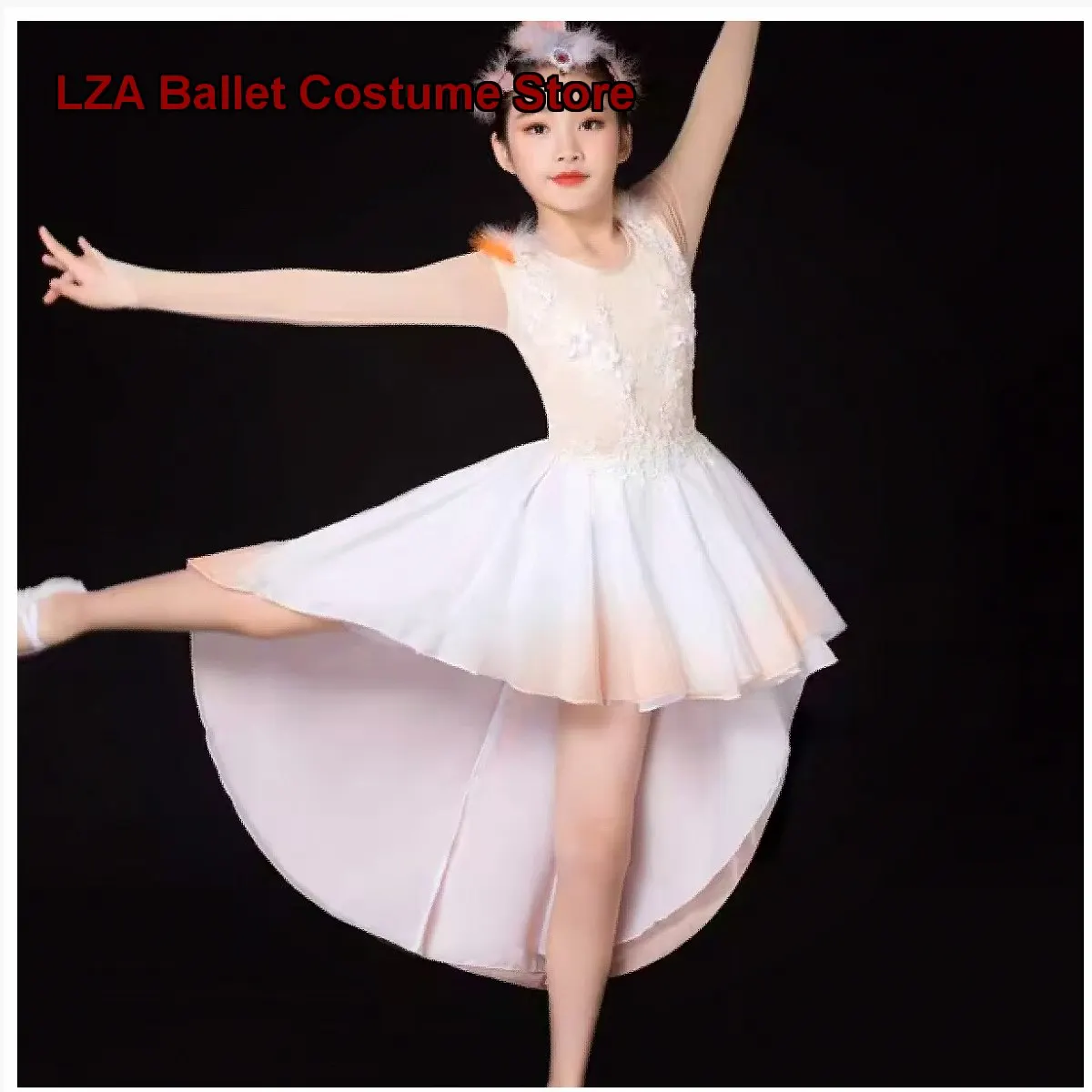 Children's Crane and Phoenix Costume Modern Classical Art Exam Tutu Dress Kids Girls