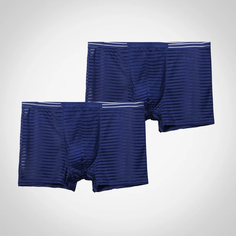 

2Pcs Youth Thin Transparent Sexy Men's Ice Silk Underwear Breathable One-Piece Boxer Briefs Four-Corner Underpants