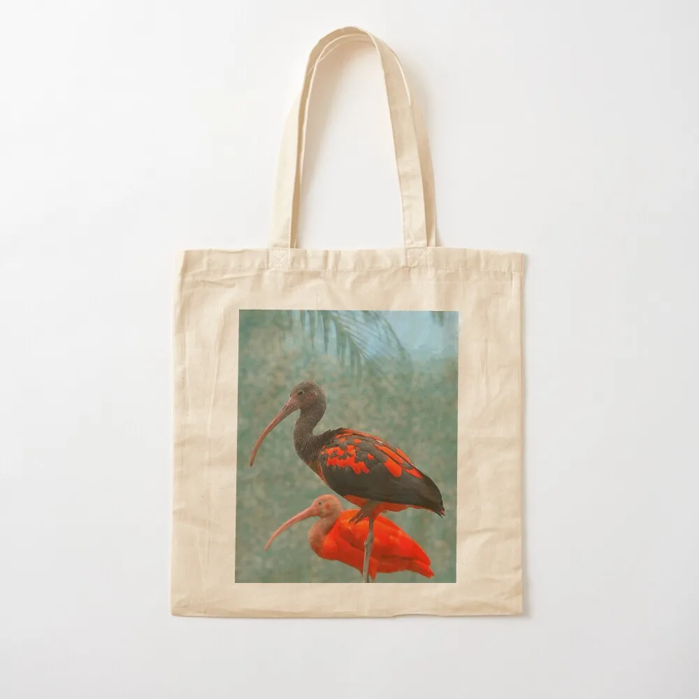 صورة اثنين من إيبيس حمل حقيبة لطيف الحقيبة حقيبة سيدة حقائب كبيرة للنساء نسيج مخصص