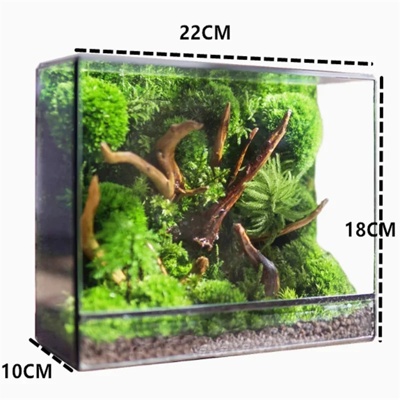 Micro Landscape Planter Moss Rainforest Tank Geometric Glass Flower Room Irregular Ecological Vase Succulent Water Plant Vase