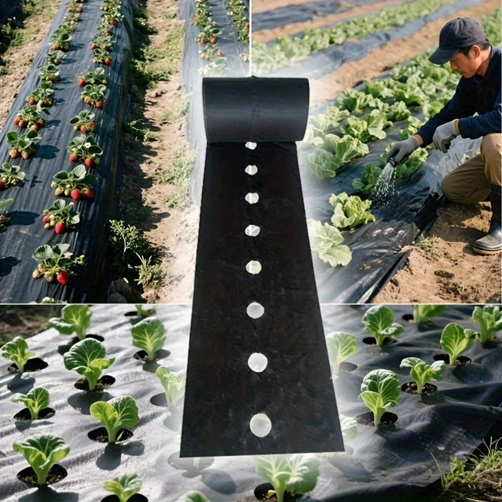 Tela negra perforada a prueba de malas hierbas, 1 orificio por fila, 60 cm de ancho, adecuada para barreras contra malas hierbas en jardines, 1000 cm de longitud