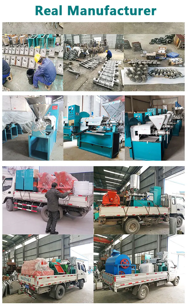 Fotografia 7: Máquina Comercial de Extração de Óleo de Semente de Uva e Amendoim da Henan Doing
