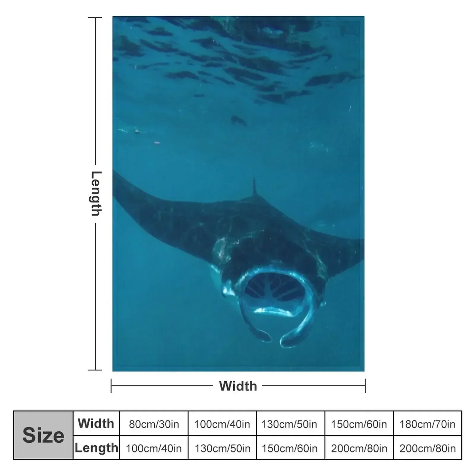 Curious Manta Ray At Crystal Bay Nusa Penida Bali Throw Blanket couch cozy soft plush fuzzy picnic outdoor blanket