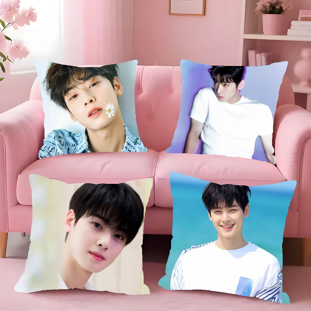 Actor C-Cha Eun-woo cushion cover Anti-dustmite Sofa Cushion Decorative Office Cover Lounge Area Indoor & Outdoor Use
