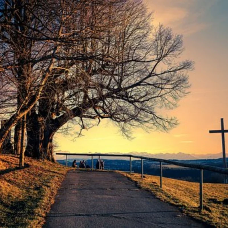 

Радиоуправляемая система 1/10 Гоночный автомобиль Профессиональный радиоуправляемый инструмент SK-600069