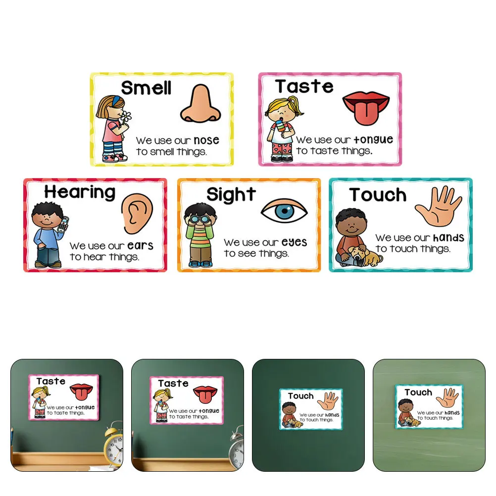 

2Sets Educational Flashcards Early Childhood Development Sensory Learning Posters Toddlers Cognitive Growth Preschool Classroom