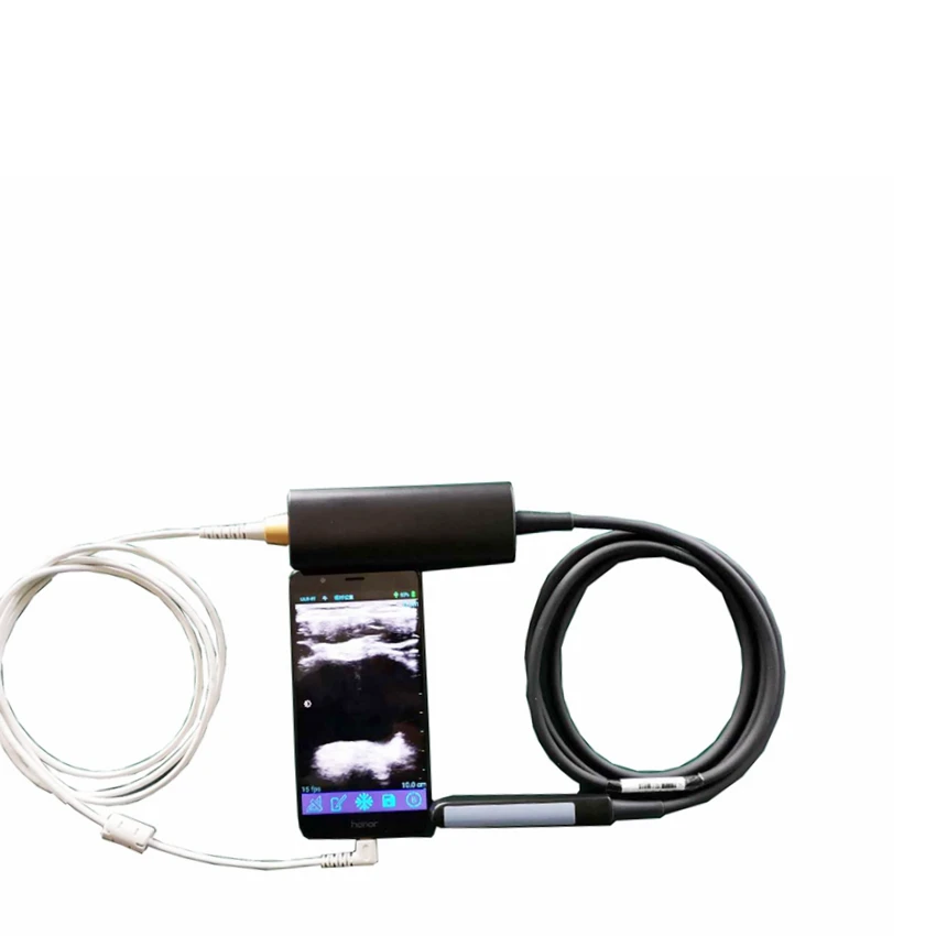 Bovine equine portable handheld veterinary ultrasound linear rectal probe type ultrasound