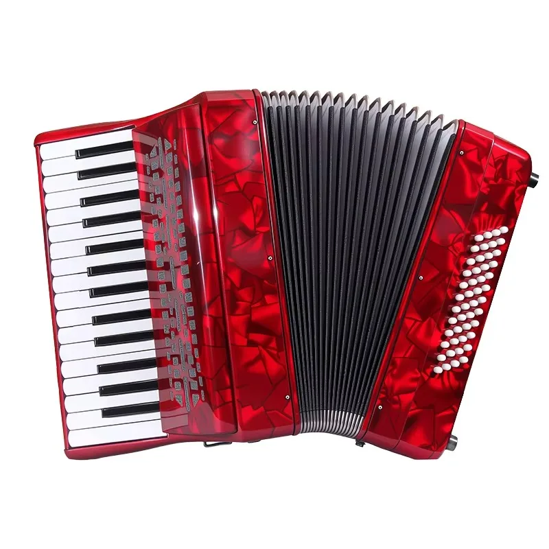 Professional Diatonic Accordion for Adult Grading and Performance Beginner Keyboard Instrument 30 Key 48 Bass ABS Matte Finish