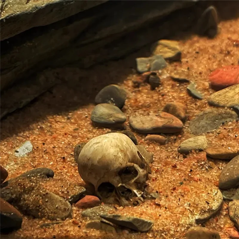 Figurki w skali 1:12, wysokiej jakości miniaturowe modele czaszek do dekoracji na Halloween, do domku dla lalek, roślin, akwariów - Y44A