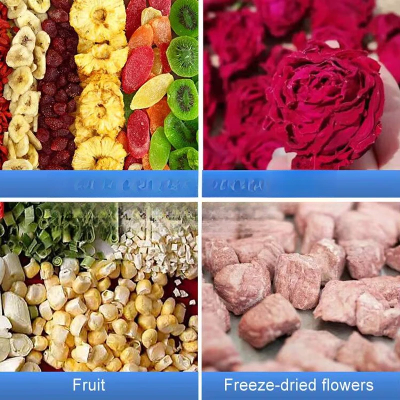 Commercial Dried Small Freeze Food Dryer Household Deer Antler, Silver Ear, Bird's Nest, Chinese Herbal Medicine Freeze-drying