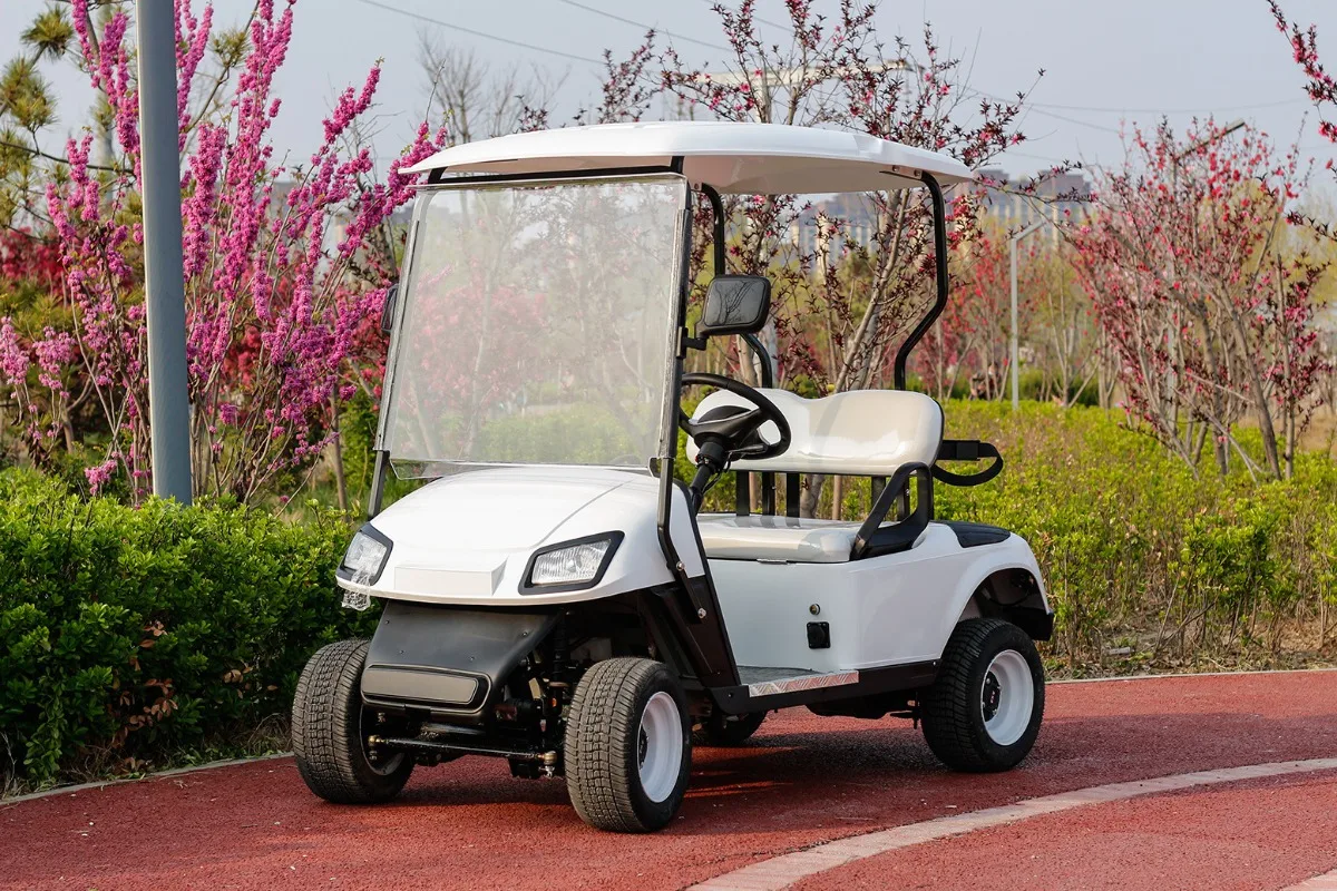 Golf cart 4 seats 6 tourist attractions Sightseeing car B & B Hotel reception Electric golf cart