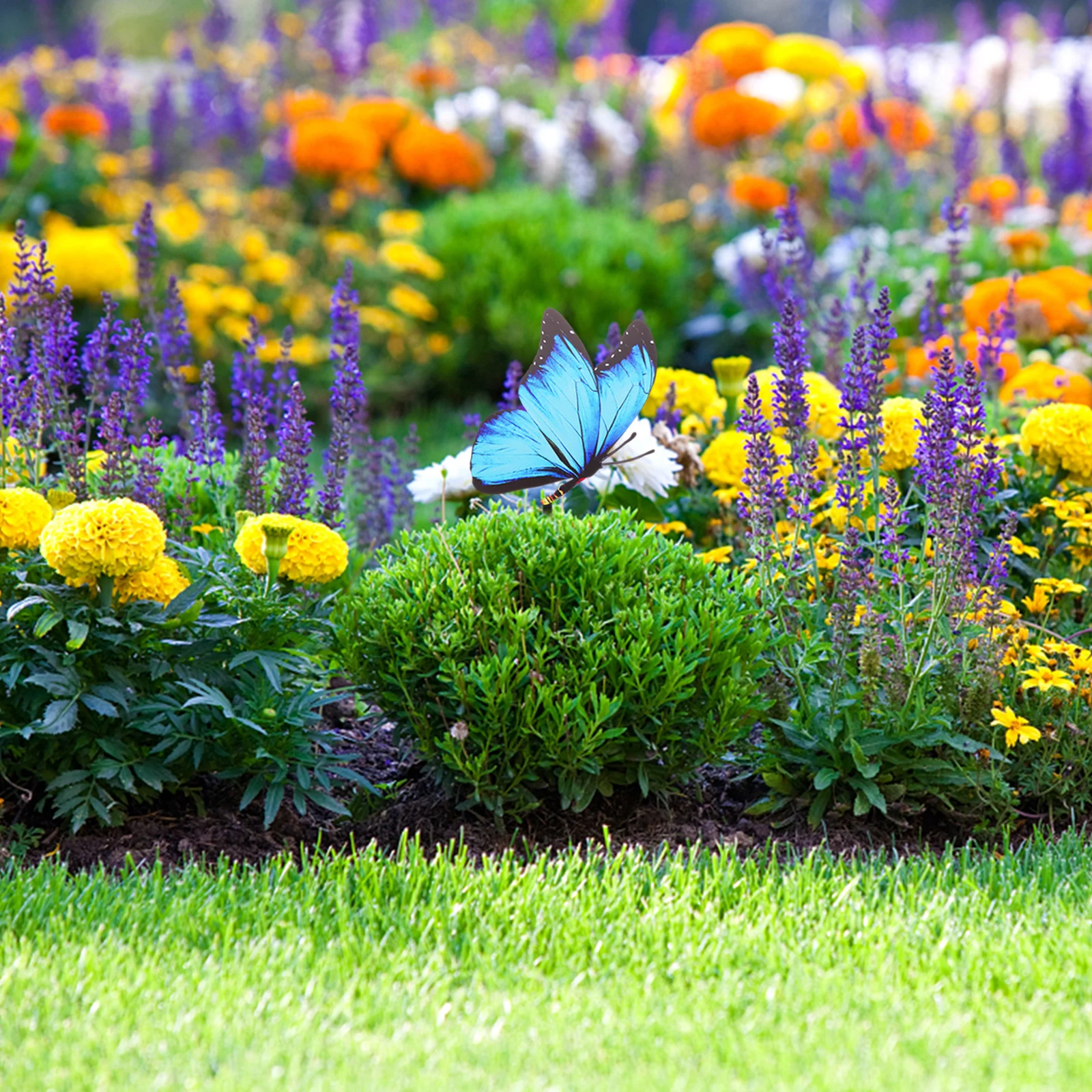 

Butterflies Garden Stake Decor Acrylic Lawn Stakes for Outdoor Yard Patio Garden Decorations Brighten Your Backyard Space