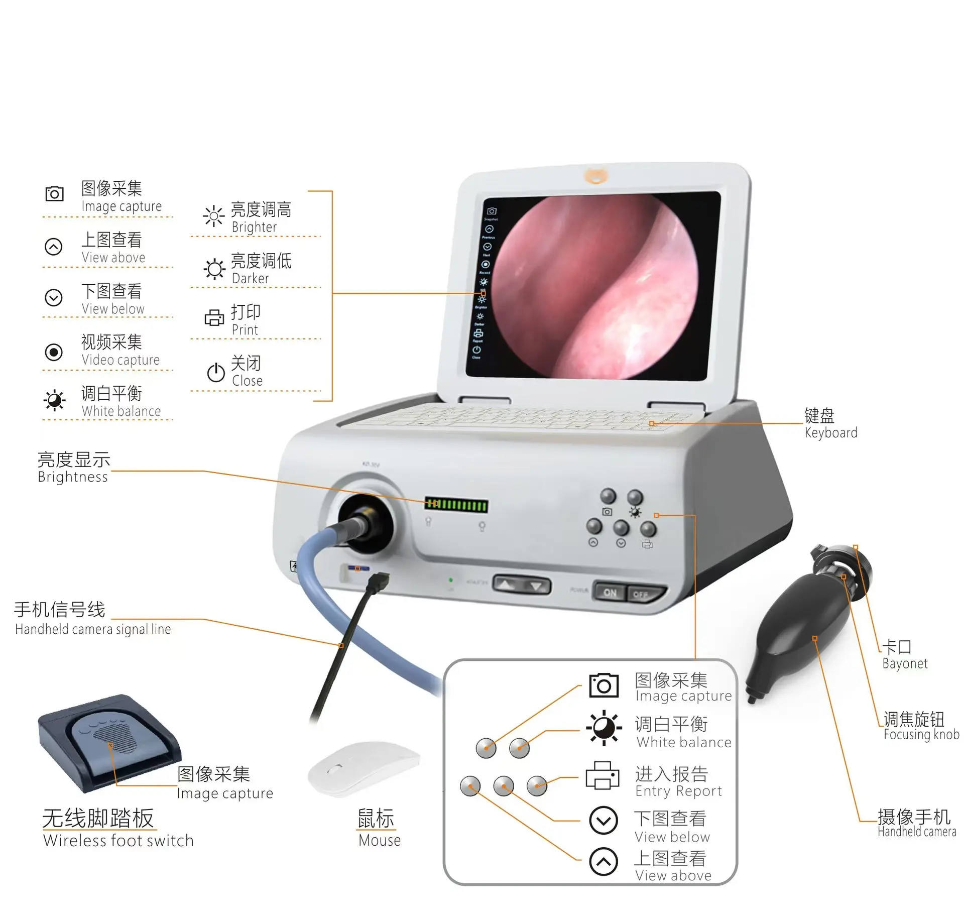 12inch HD 1080P 60W LED Light Source Medical ENT Pets Endoscope Anochoscopy Camera System workstation