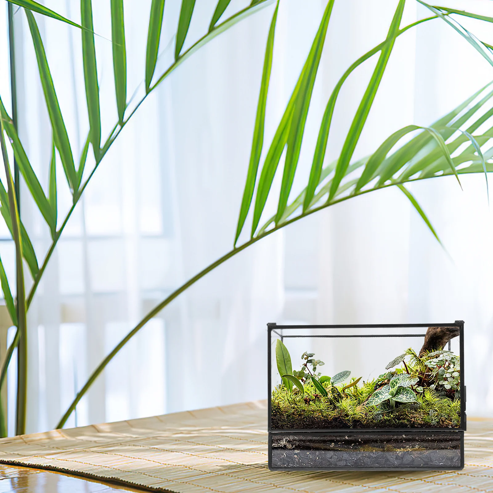 

Micro Landscape Ecological Box Mini Glass Terrarium Black Tin Moss Terrarium Container Tabletop Plant Holder for Succulent