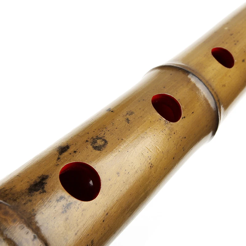 QINGULIU D Key Shakuhachi 5 Holes Wooden Musical Instruments New Arrival Bamboo Vertical Flute With Root Woodwind Instrument