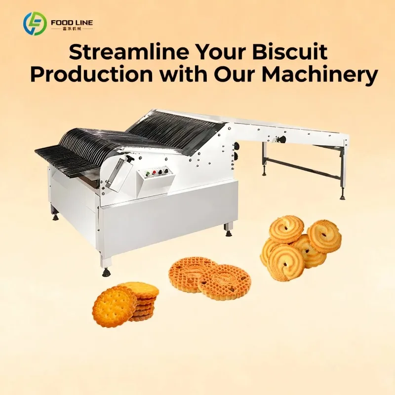Customized Soda Cracker Biscuit Cookie Bakery Production Machine FL Customized Cookie Making Machine