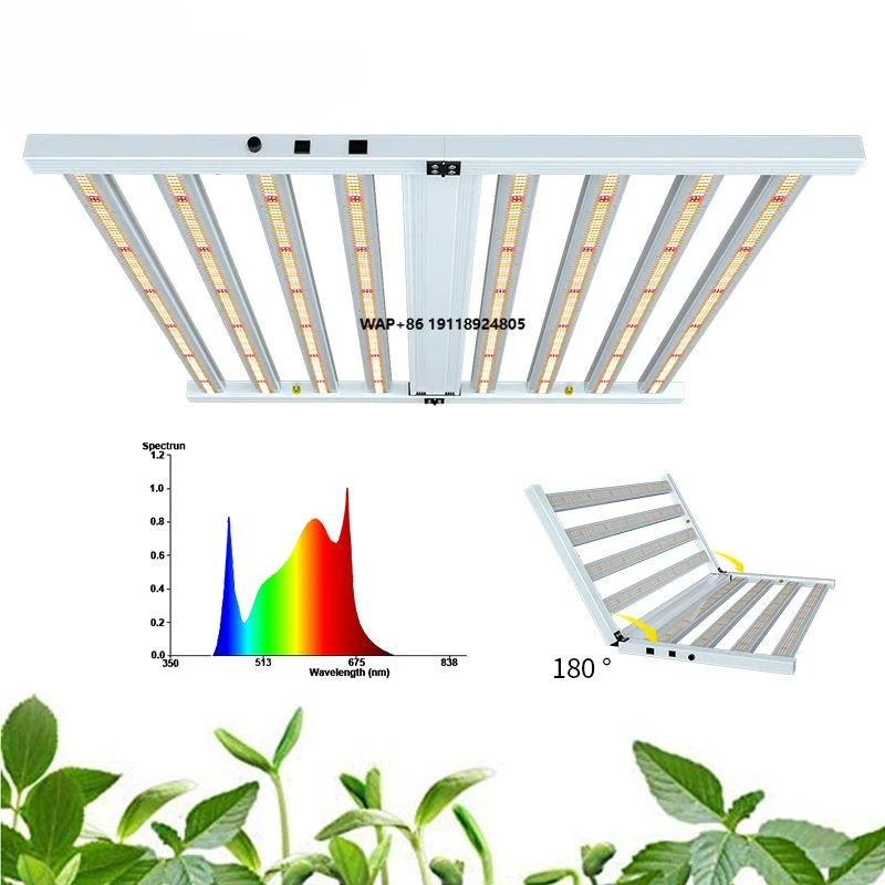 600W/720W Full Spectrum Aluminum LED Grow Light with UV IR IP65 PPF 1680 for Indoor Plants Bloom Application Vertical House