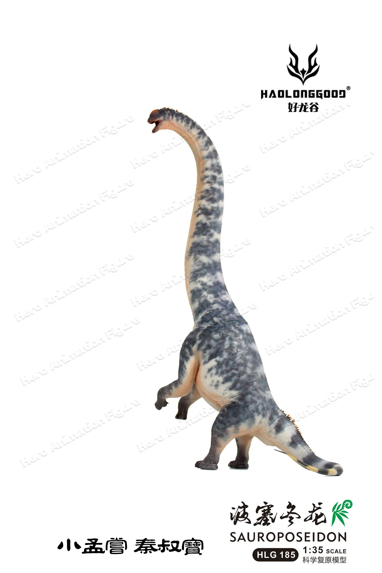 New In Stock HAOLONGGOOD 51cm Sauroposeidon 1/35 Dinosaur Toy Ancient Prehistroy Animal Model Oversized Dinosaur Model