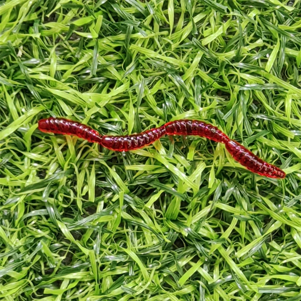 Vinilo gusano rojo con olor y sabor para pesca de lubina marina - imagen 5