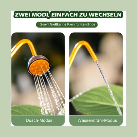 10 best sales बोन्साई को पानी देना - №5