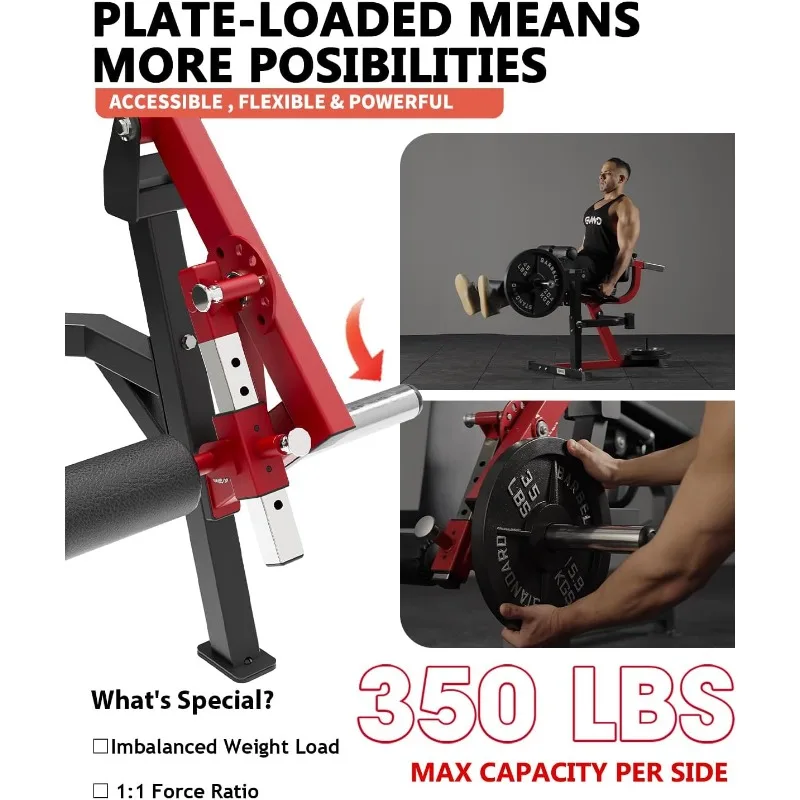 آلة التمديد والتجعيد، تمديد فردي، تجعيد الكذب، تجعيد قائم، مقعد تمرين الساق قابل للتعديل مع