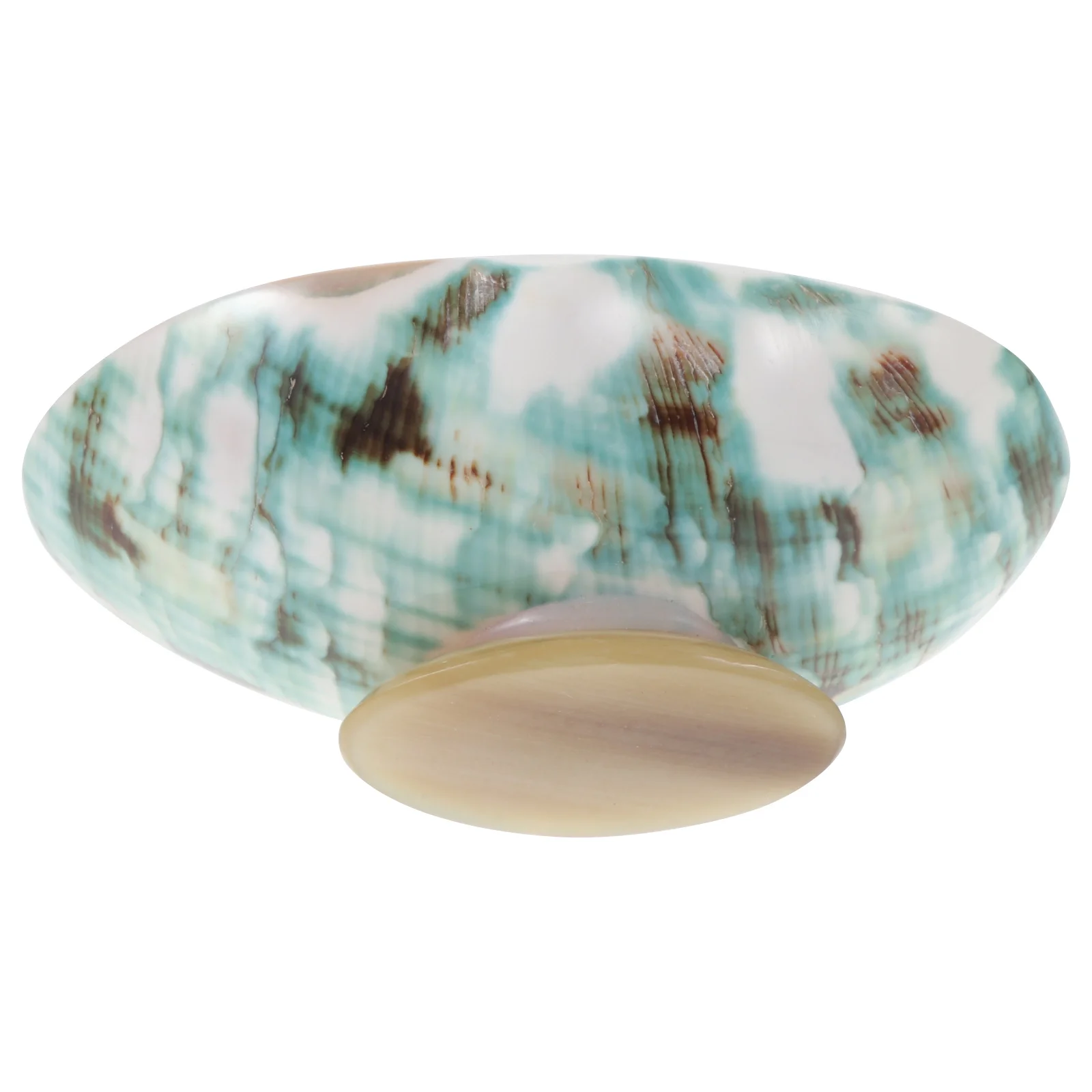 

1Pcs Shell Sauce Dish Creative Seasoning Plate Ideal for Condiments Mask Mixing Snack Holder Sauce Dish