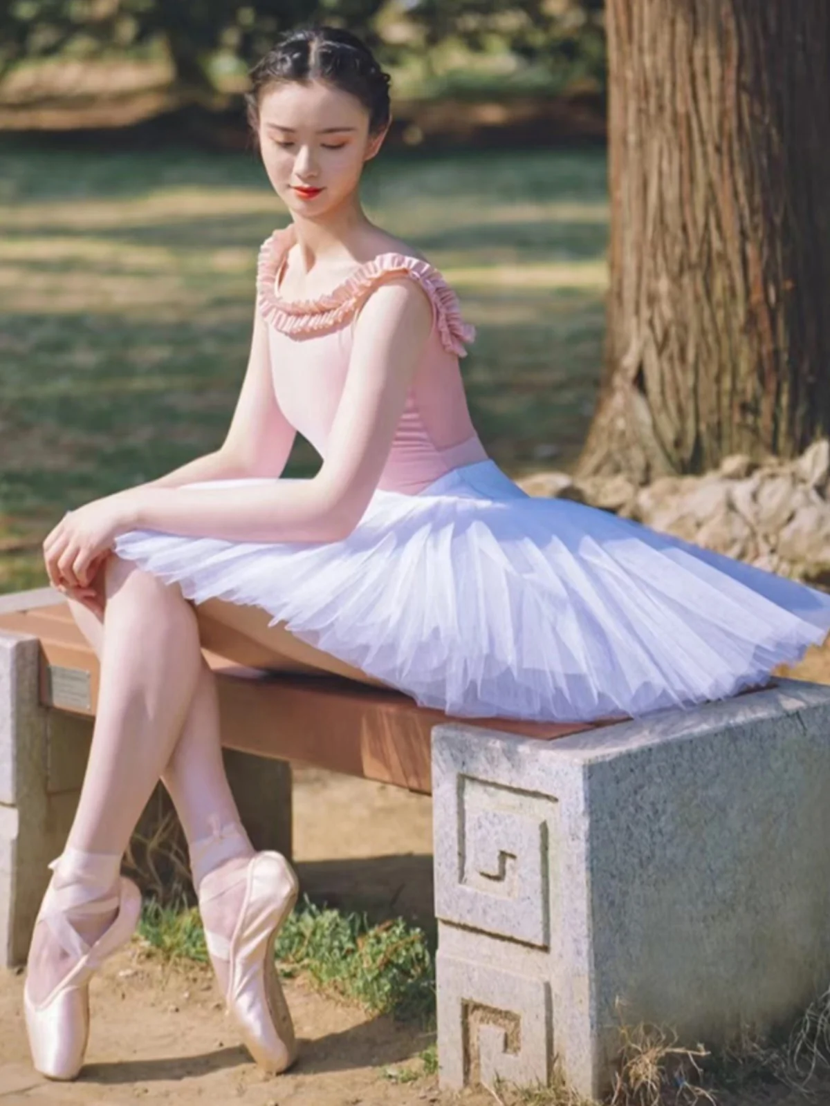 Adult Ballet Dance …