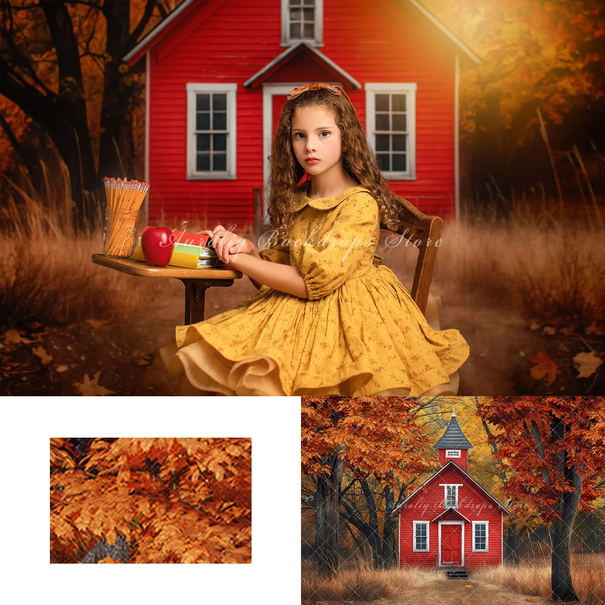 

Little Red Schoolhouse Backgrounds Kids Adult Photography Props Child Baby Autumn Rural Countryside Decors Photo Studio Backdrop