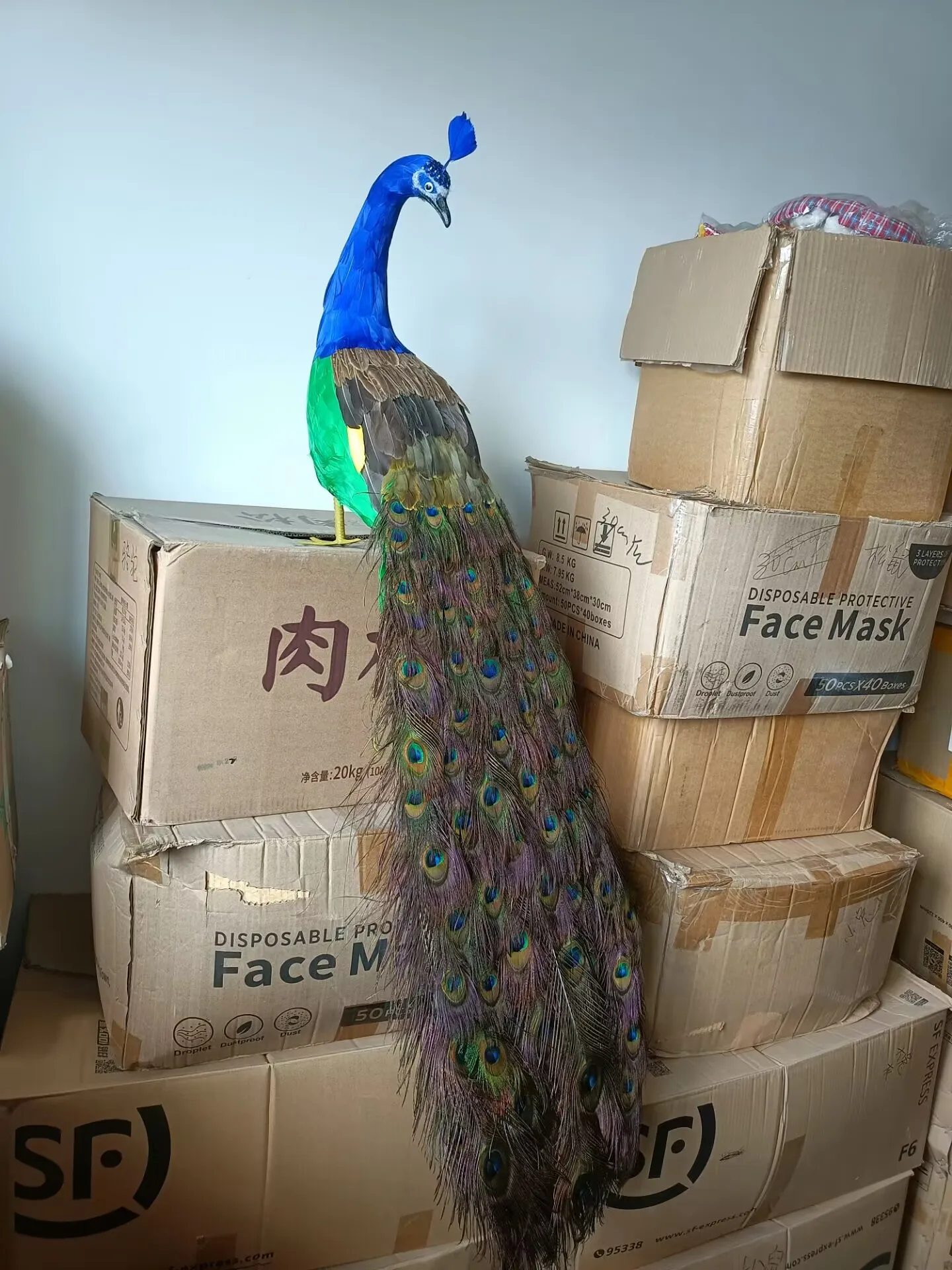 

long simulation 150cm turned back foam and feather peacock model gift about 150cm