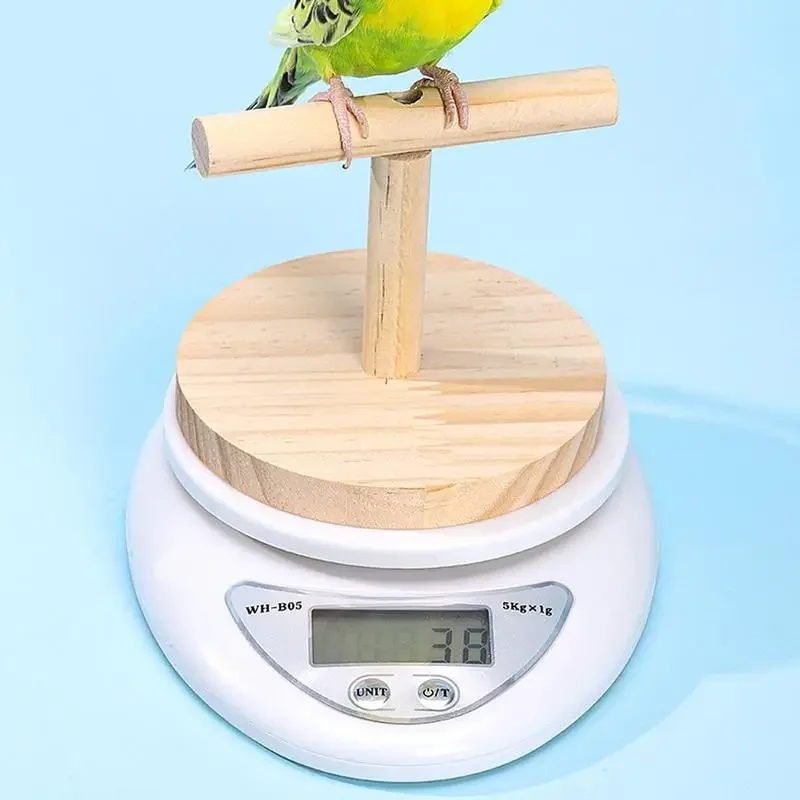 NEW Parrot Weight Scale Bird Electronic Weight Scale High-precision Pet Electronic for Birds Small Such Aslovebirds