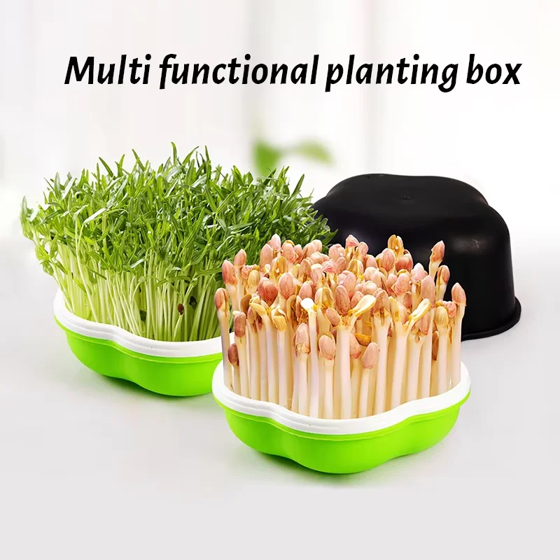 Hydroponic Peanut Sprout Germination Box Seedling Tray Planting Pot for Bean Sprouts - Gardening Tool for Home Farming