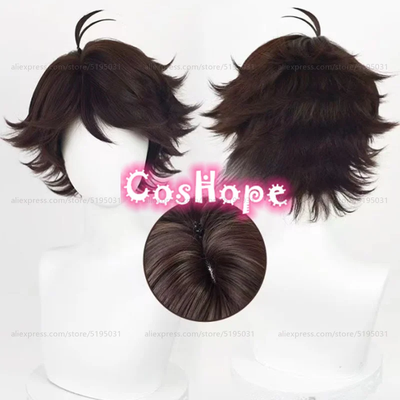 Oikawa Tooru Cosplay Wig 28cm Short Brown Wig Cosplay Anime Cosplay Wigs Heat Resistant Synthetic Wigs Halloween