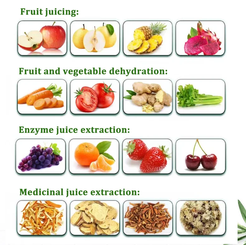 Industrial small cold-pressed fruit orange, lemon, vegetable spiral mango juicer production line, machine for making juice