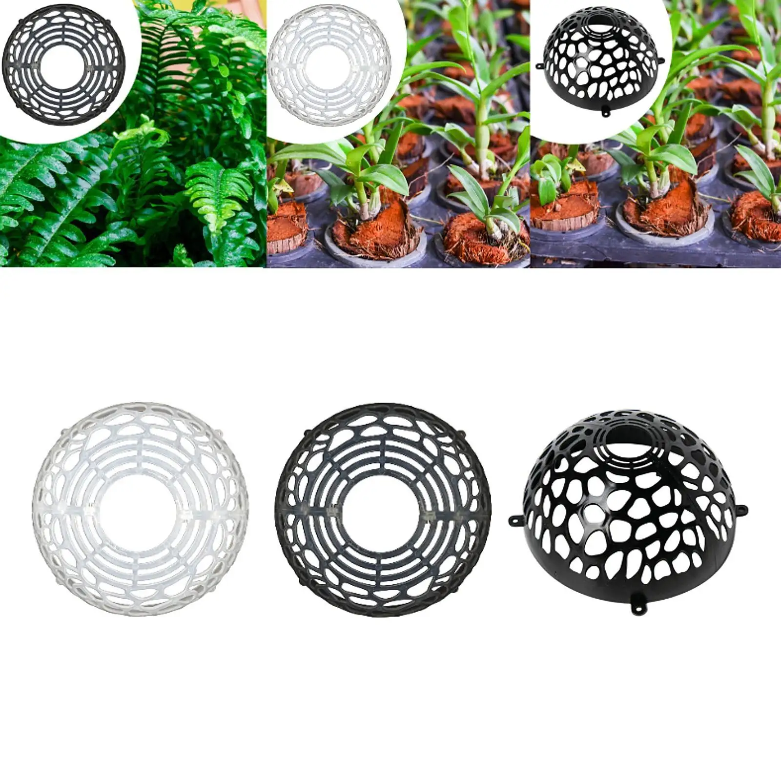 พืชดิน Protector พืชที่ถอดออกได้ฝาครอบ Levitating Ball ดอกไม้ Air Cap สําหรับ Phalaenopsis พืชน้ํา Staghorn
