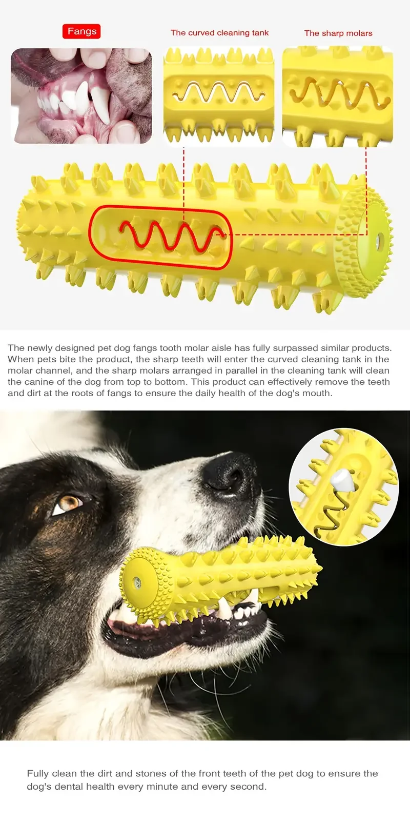 Von Tierarzt zugelassener Zahnaufsatz – 3-in-1 kühlendes Zahnbürstenspielzeug für kleine/mittlere Hunde, sommerliche Zahnreinigungs- und Zahnfleischmassage – Detail 11